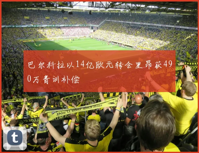 巴尔科拉以14亿欧元转会里昂获490万青训补偿