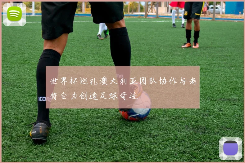 世界杯巡礼澳大利亚团队协作与老将合力创造足球奇迹