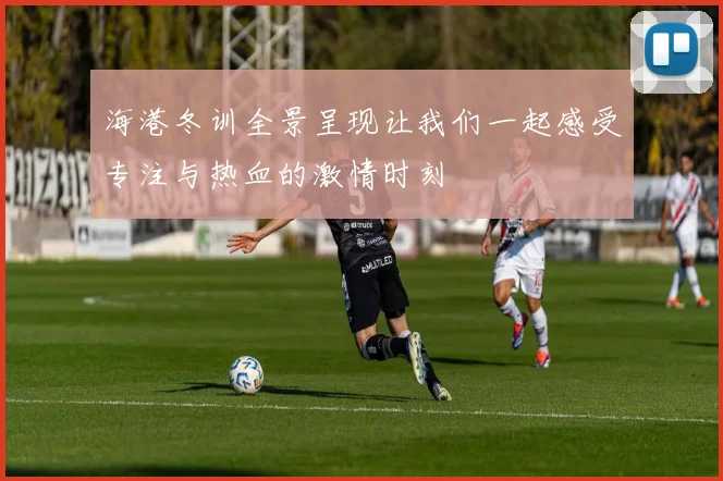 海港冬训全景呈现让我们一起感受专注与热血的激情时刻