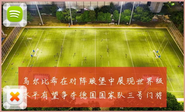 乌尔比希在对阵狼堡中展现世界级水平有望争夺德国国家队三号门将位置