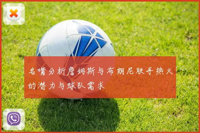 名嘴分析詹姆斯与布朗尼联手热火的潜力与球队需求