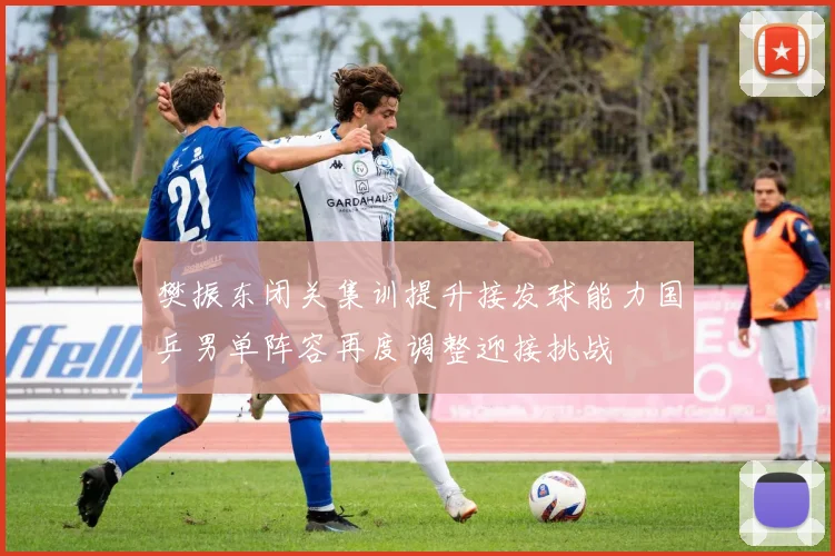 樊振东闭关集训提升接发球能力国乒男单阵容再度调整迎接挑战