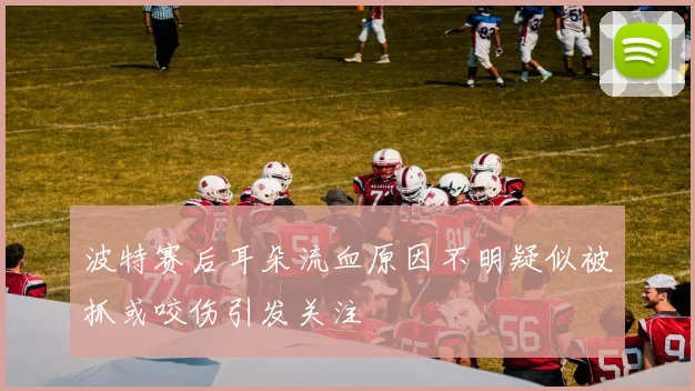 波特赛后耳朵流血原因不明疑似被抓或咬伤引发关注