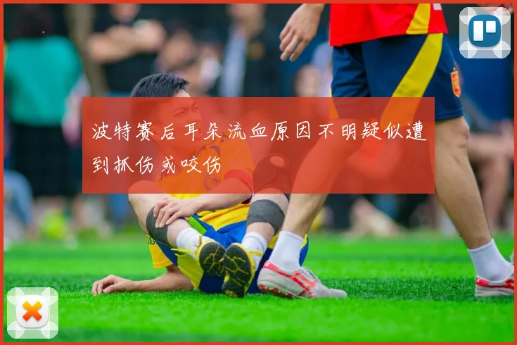 波特赛后耳朵流血原因不明疑似遭到抓伤或咬伤